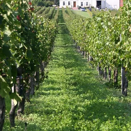 L'hermitage D'alienor Lugon et l’Ile du Carney