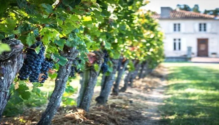 L'hermitage D'alienor Frühstückspension 3*