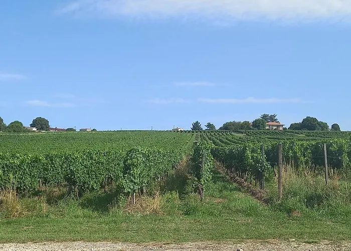 L'hermitage D'alienor 3* Lugon et l’Ile du Carney